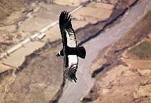 El Noroeste Argentino