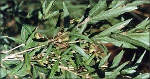 El Noroeste Argentino