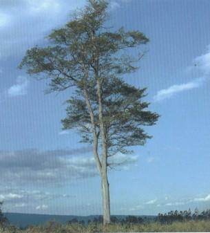 El Noroeste Argentino