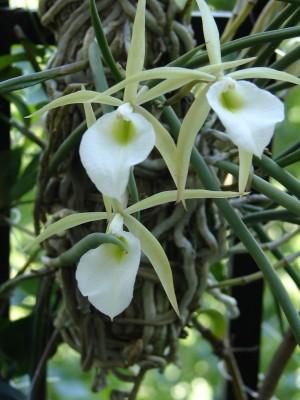 El Noroeste Argentino