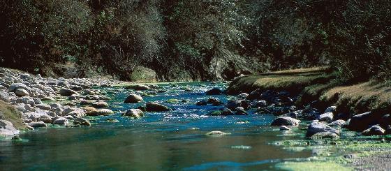 Río del Parque Naional El Rey