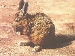 El Noroeste Argentino