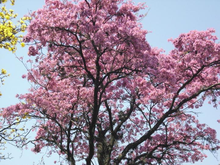 El Noroeste Argentino