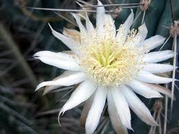 El Noroeste Argentino