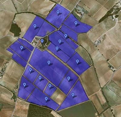 EL VIROLET XAREL·LO 2010 ( Oriol Rosell - DO. Penedès )