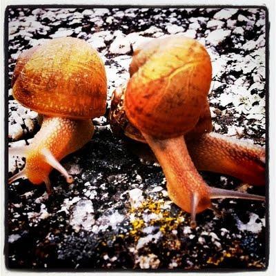 Domingo de trabajo y blogs Domingo de trabajo y blogs