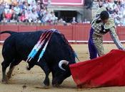 Manzanares hace historia sevilla: indulta toro sale puerta principe