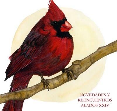 NOVEDADES Y REENCUENTROS ALADOS XXIV