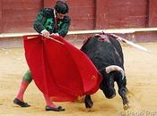 Morante interés torear Málaga