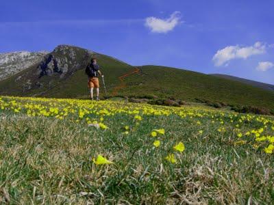 huertos del diablo - peña melluque - peña del arca - el ranchón - la mojonera