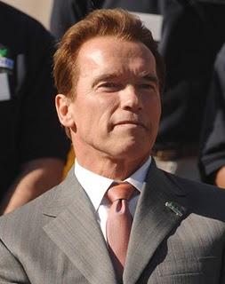 Arnold Schwarzenegger rodará 'Cry Macho' antes que 'Terminator 5'