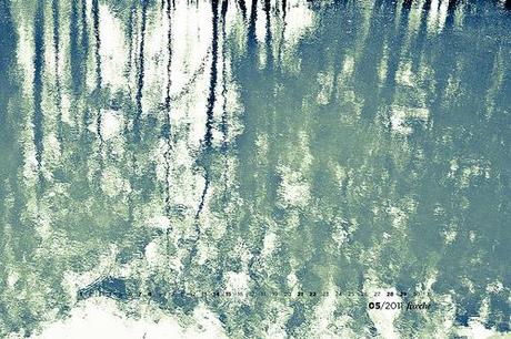 Calendario mayo 2011: Panta Rei