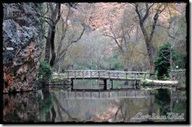 MonasterioDePiedra (96)