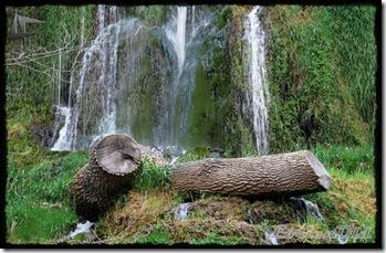 MonasterioDePiedra (115)