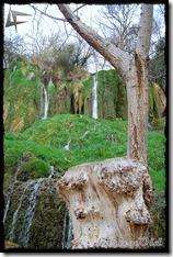 MonasterioDePiedra (112)