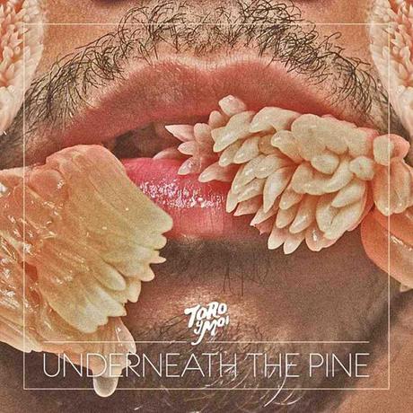 Toro Y Moi – Underneath the Pine