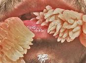 Toro Underneath Pine