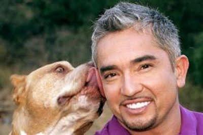 Cesar Millan encantador de perros