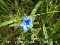 Explosión de colores (primavera)