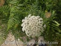 Explosión de colores (primavera)