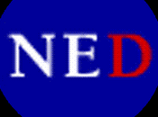 Becas investigacion para democracia 2011