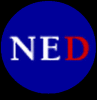 Becas de investigacion para la democracia 2011