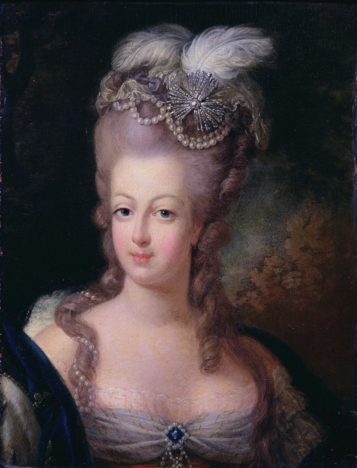 http://historymalden.wikispaces.com/file/view/Marie-Antoinette,_1775_-_Mus%C3%A9e_Antoine_L%C3%A9cuyer.jpg/170679905/Marie-Antoinette,_1775_-_Mus%C3%A9e_Antoine_L%C3%A9cuyer.jpg