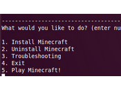 Sencillo script para instalar Minecraft