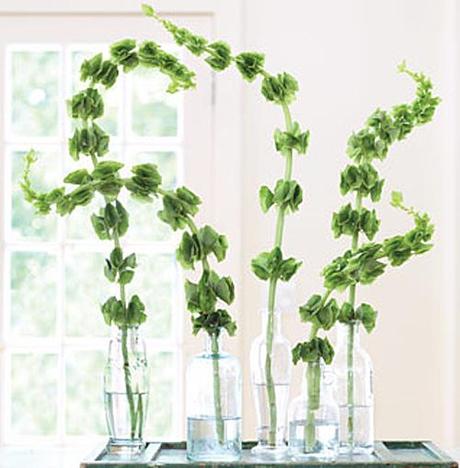 ideas florales – DIY