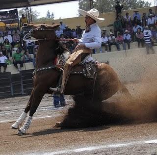 Huichapan Profetas en Casa