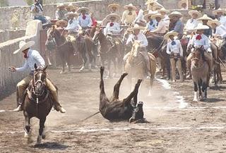 Con 377 de Tamariz “A”, Empezó la Primera Fase del Excelencia