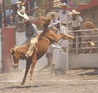 Con 377 de Tamariz “A”, Empezó la Primera Fase del Excelencia