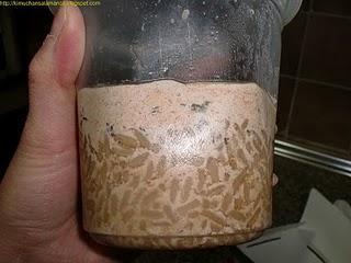 Mr Box gratis/無料お試しMr Box