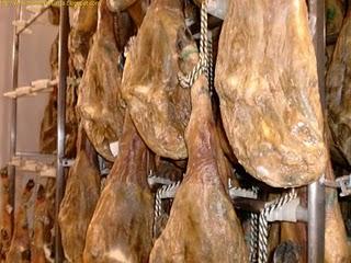 Guijuelo fabrica BEHER/ギフエロ　生ハム工場