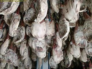 Guijuelo fabrica BEHER/ギフエロ　生ハム工場