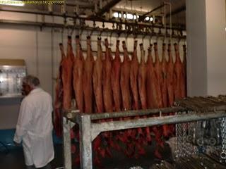 Guijuelo fabrica BEHER/ギフエロ　生ハム工場