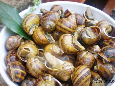 Como preparar y cocer caracoles