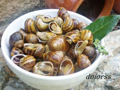 Como preparar y cocer caracoles