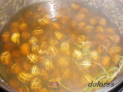 Como preparar y cocer caracoles