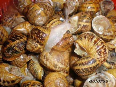 Como preparar y cocer caracoles