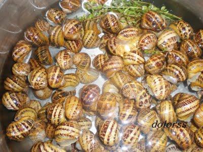 Como preparar y cocer caracoles