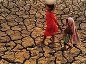 Lucha molecular contra sequía