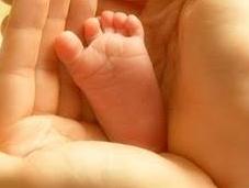 carta Ministro Trabajo Inmigración