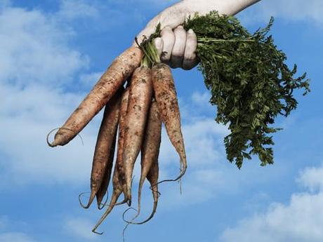 La zanahoria que nos mueve!