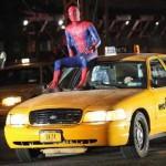 spl274015_001-wm900-494x560