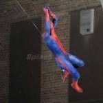 spl274462_004-wm900-560x444