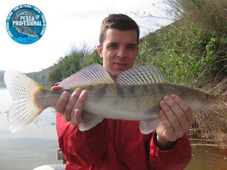 PESCA DEL SILURO AL LANCE