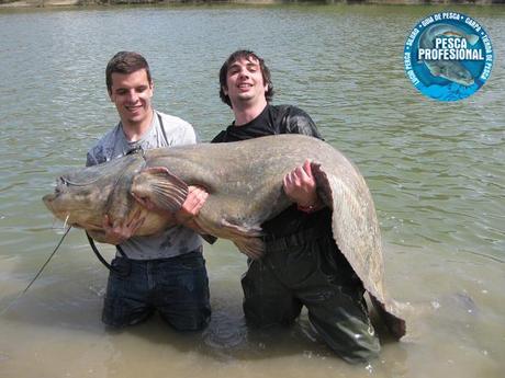 PESCA DEL SILURO AL LANCE