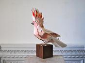 Animales papel Anna Wili Highfield