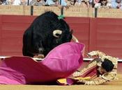 Compendio toreo moderno